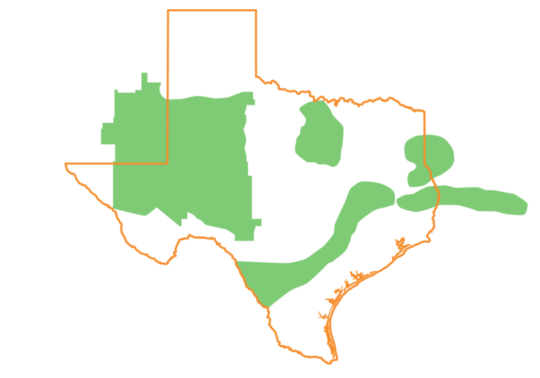 Mineral Rights in Texas Enverus