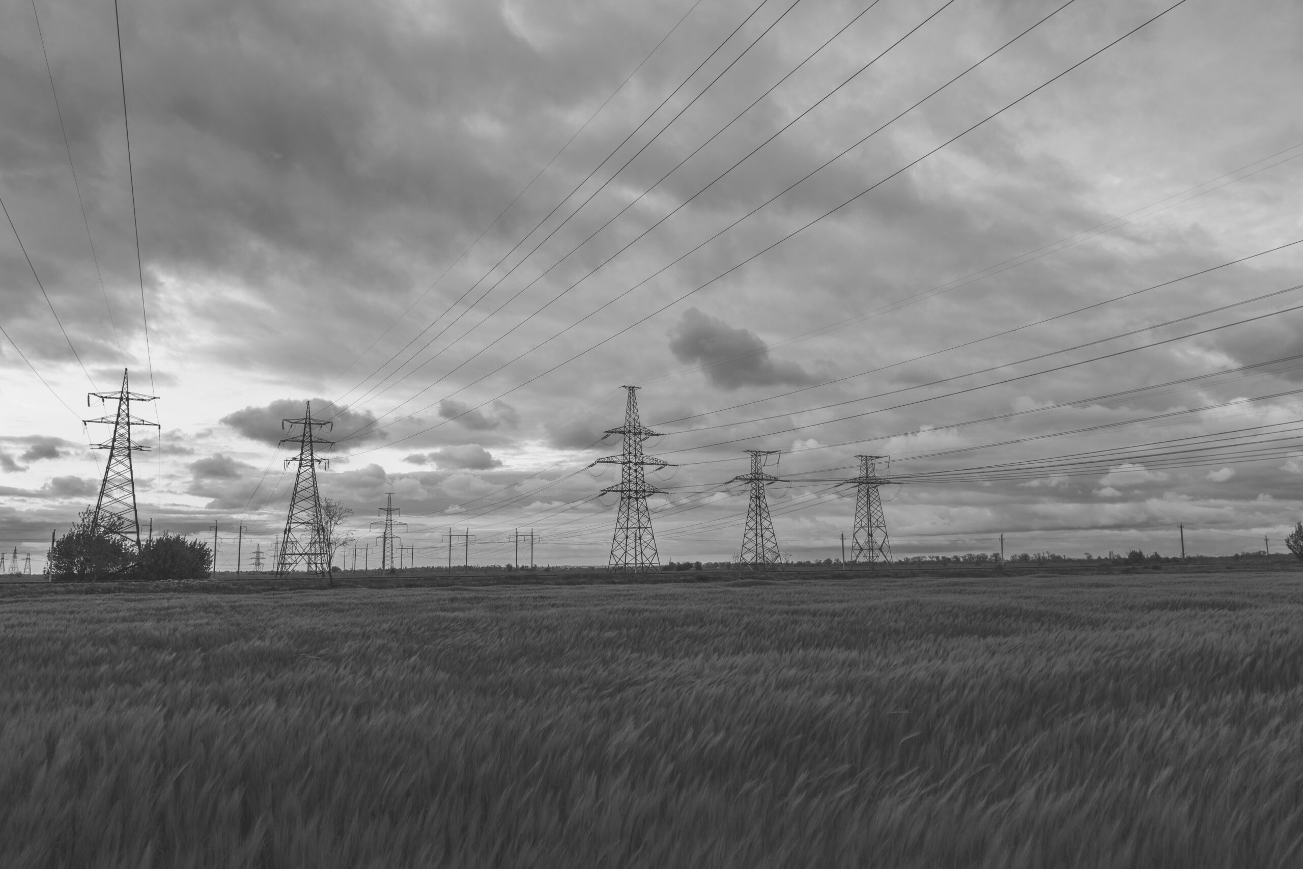 High-voltage power lines passing through a green field of wheat, on the background of a cloudy sky