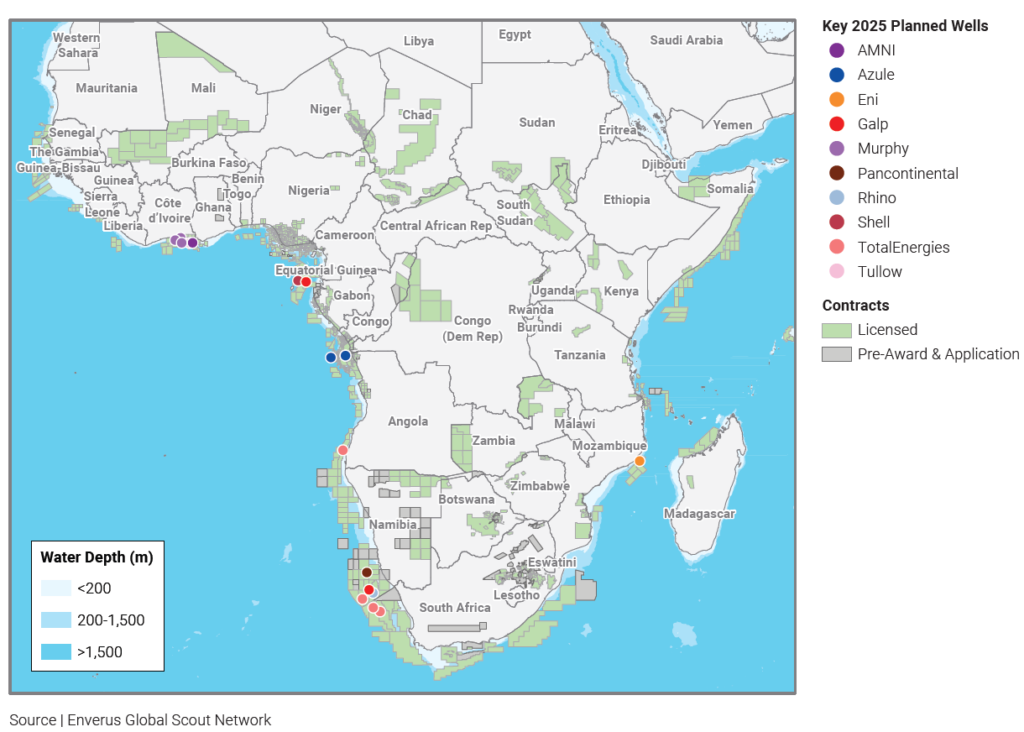 west-african-wildcats-will-continue-grabbing-the-spotlight