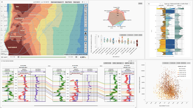 Workbook of the DJ Basin In PRISM, displaying geological grids, type log, cross section and plots of geologic characteristics vs production and other metrics.